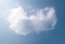 The All Day I Dream Festival