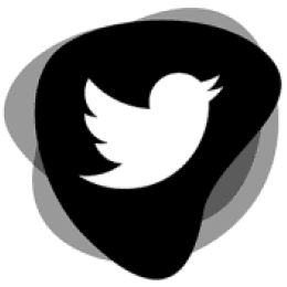X (Twitter)